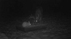 Sovussa sy�m�ss�